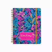 12 Month Large Agenda - Calypso Coast