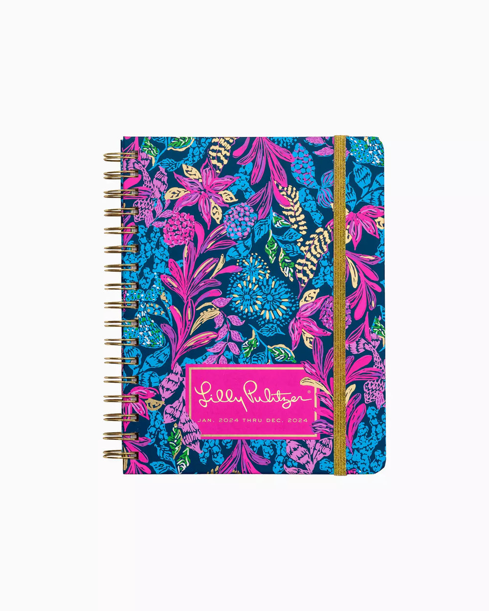 12 Month Large Agenda - Calypso Coast