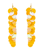 Sequin Fringe Earrings
