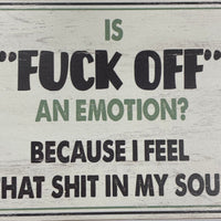 SASSY/SPICY Wooden Plaque