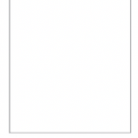 Solid Tissue Paper Single Pack ALL SALES FINAL