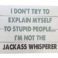 SASSY/SPICY Wooden Plaque